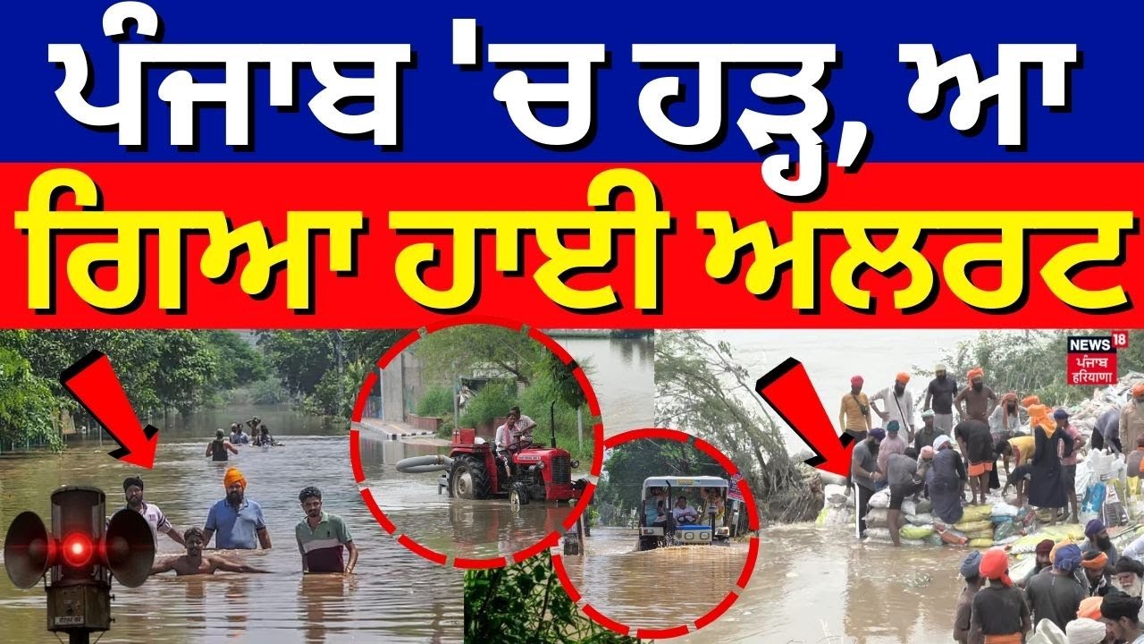 Live | Punjab Floods Update | ਪੰਜਾਬ 'ਚ ਹੜ੍ਹ, ਆ ਗਿਆ ਹਾਈ ਅਲਰਟ | Weather Update | News18 Punjab