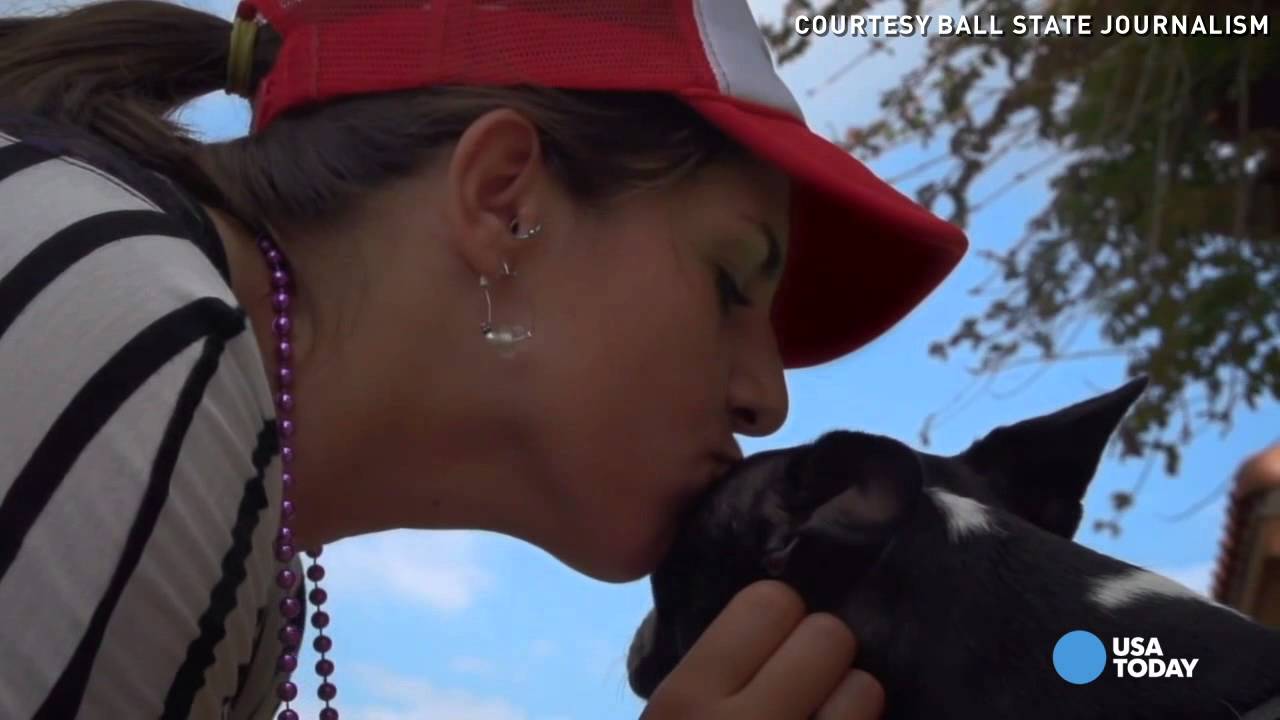 Dog-kissing booth cam shows pooch's smooches in slo-mo