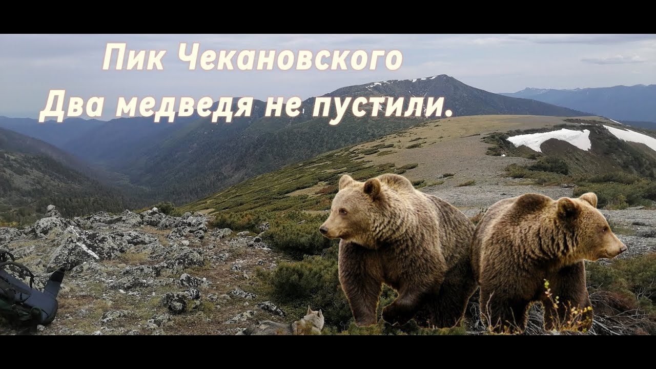 пик Чекановского (Хамар-Дабан) Два медведя не пустили.