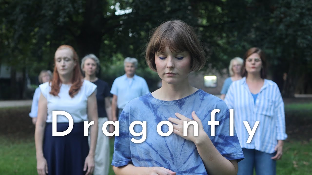 meinklang - Dragonfly (a-ha)