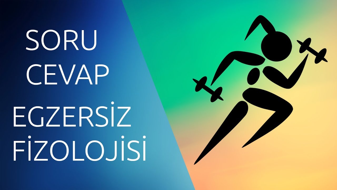 EGZERSİZ FİZYOLOJİSİ SORU CEVAP(Endokrin Sisteme kadar)