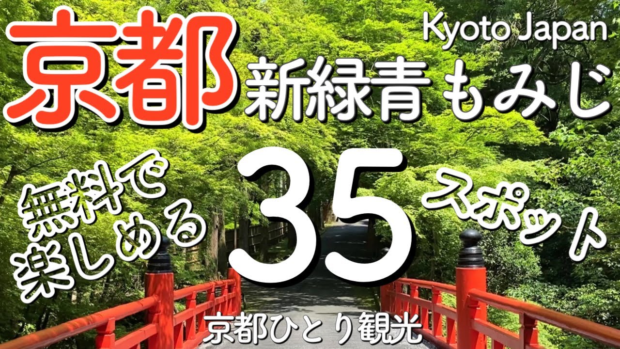京都の新緑＆青もみじを無料で満喫🍀A spot where you can enjoy Kyoto's new green & blue maple for free（kyoto,Japan）