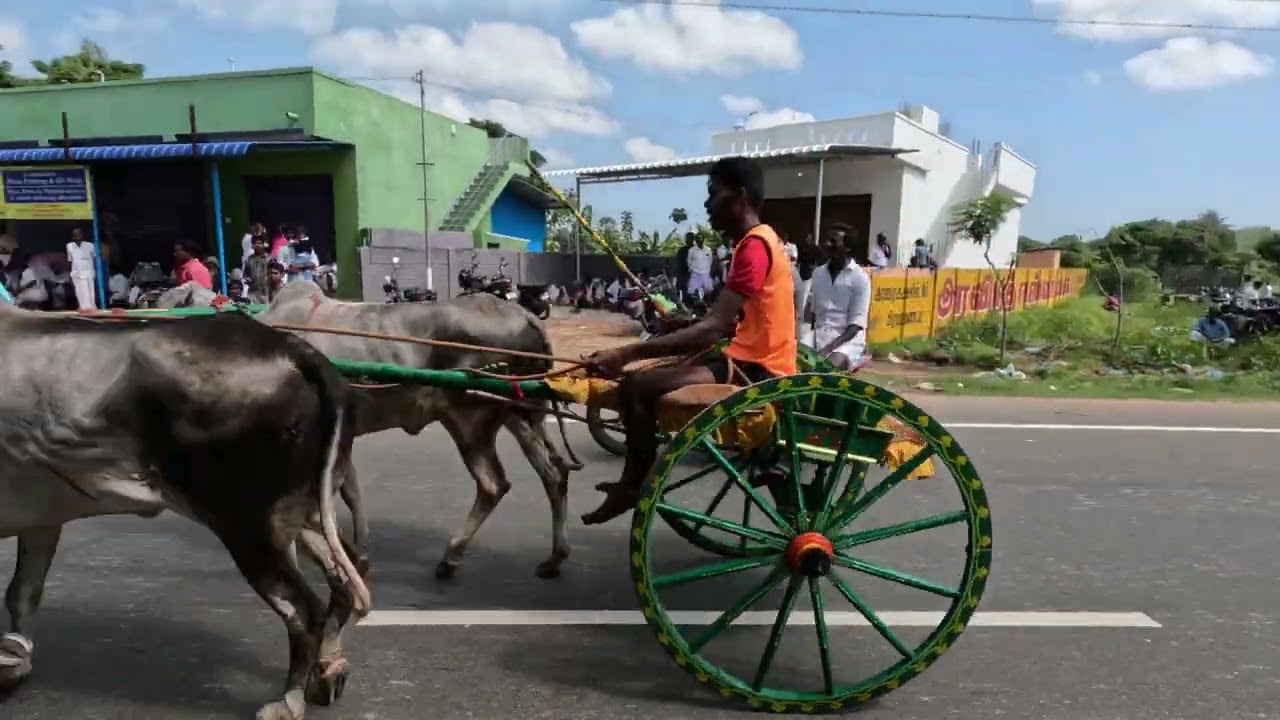 Thirukadaiyur Rekla Race