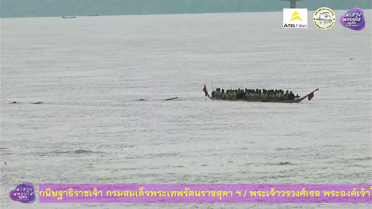LIVE🔴:   แข่งขันเรือยาวประเพณี ชิงถ้วยพระราชทานฯ 68  ณ จุดชมวิวสะพานมิตรภาพ ไทย - ลาว