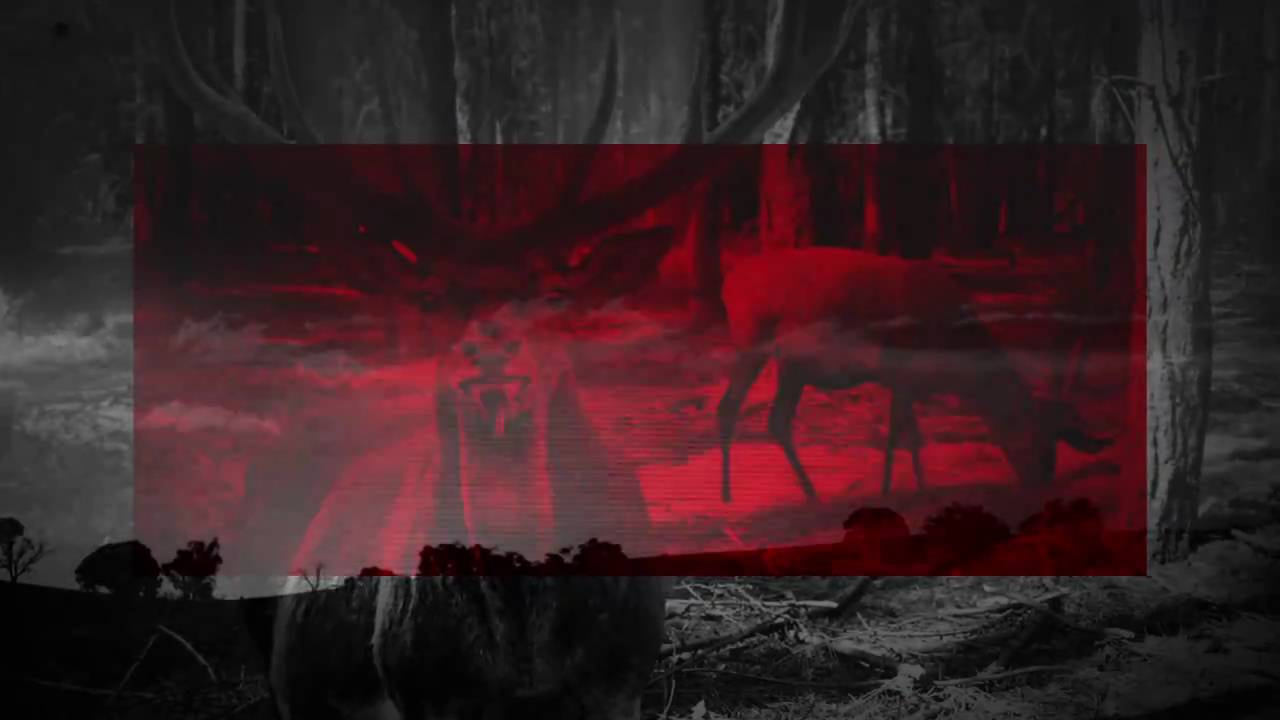 Radiohead -- The King of Limbs -- Feral HD (music Video)