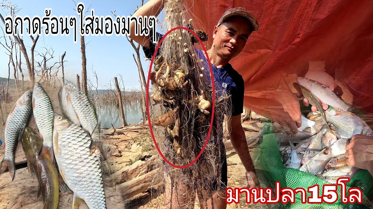 ທີມງານມານປາ//ทีมงานมานปลา