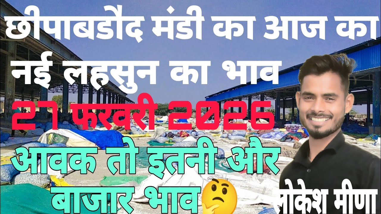 छिपाबडौद मंडी का आज का नई ऊटी लहसुन का भाव | Aaj Ka Ooty Lahsun ka bhav | Lahsun ka bhav aaj ka 