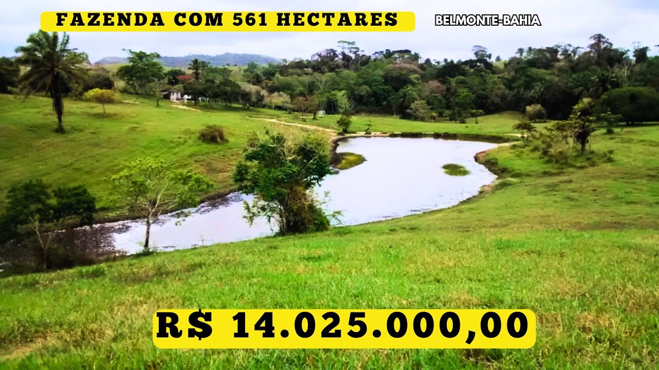 OPORTUNIDADE! Fazenda PRONTA para pecuária no Sul da Bahia – 561 ha com água, estrutura e expansão!