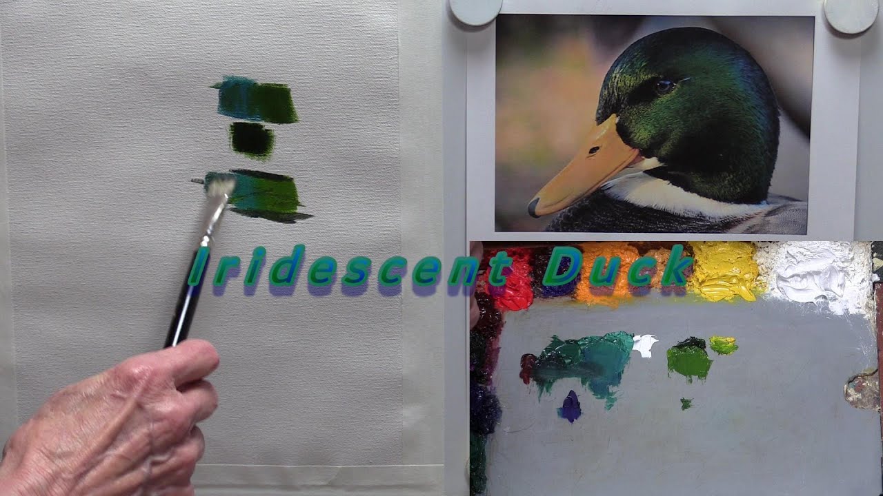 Quick Tip 321 - Iridescent Duck