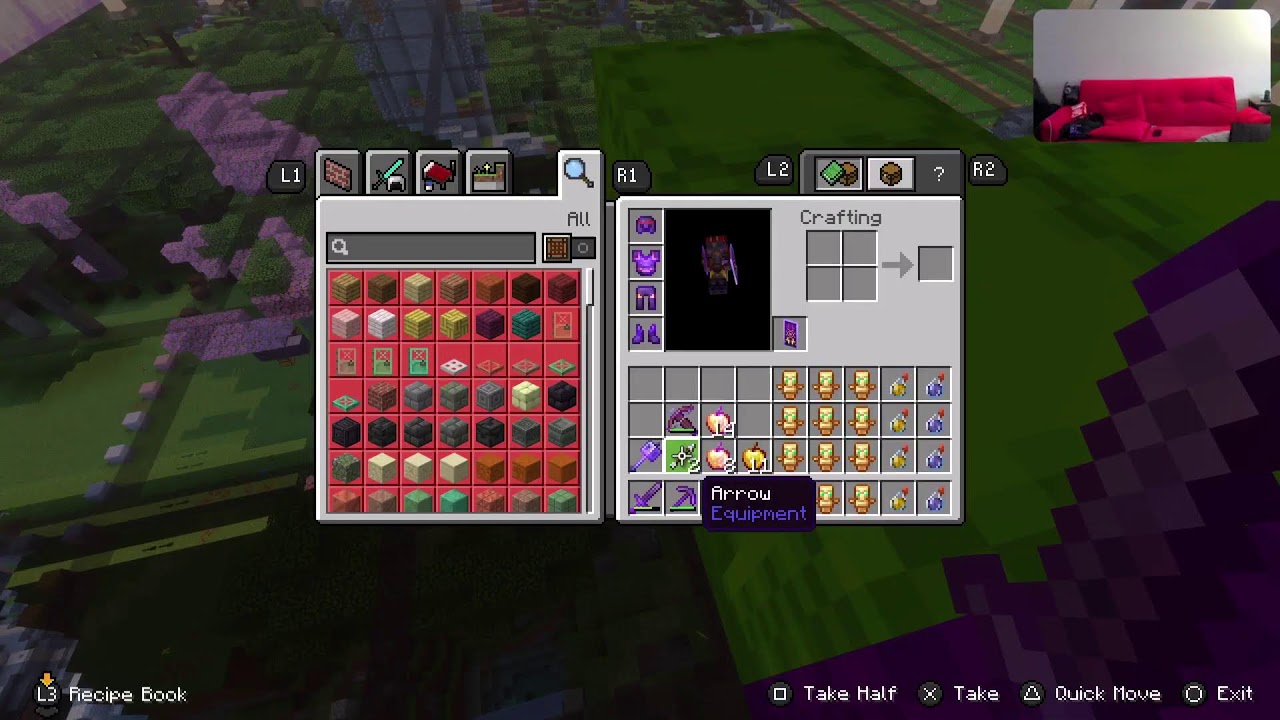 Chatting & Playing minecraft