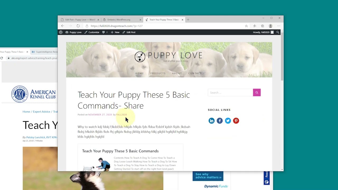 Embedding Blog or Web sites into WordPress