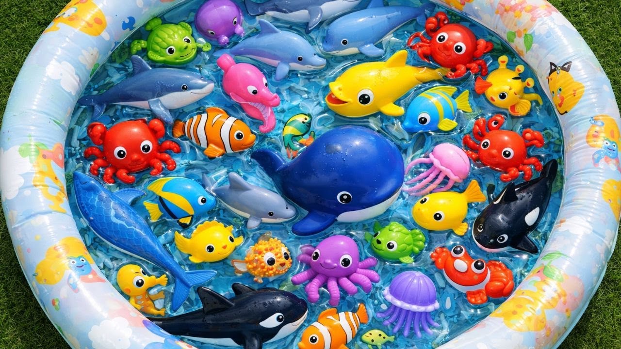 Fun Ocean Animal Learning 🐙 | Toys, Names & Facts for Little Kids