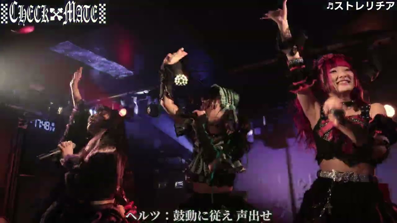 CHECKMATE  2026.3.12  新宿science #アイドル #ライブ #チェックメイト　#ちぇくめ #checkmate