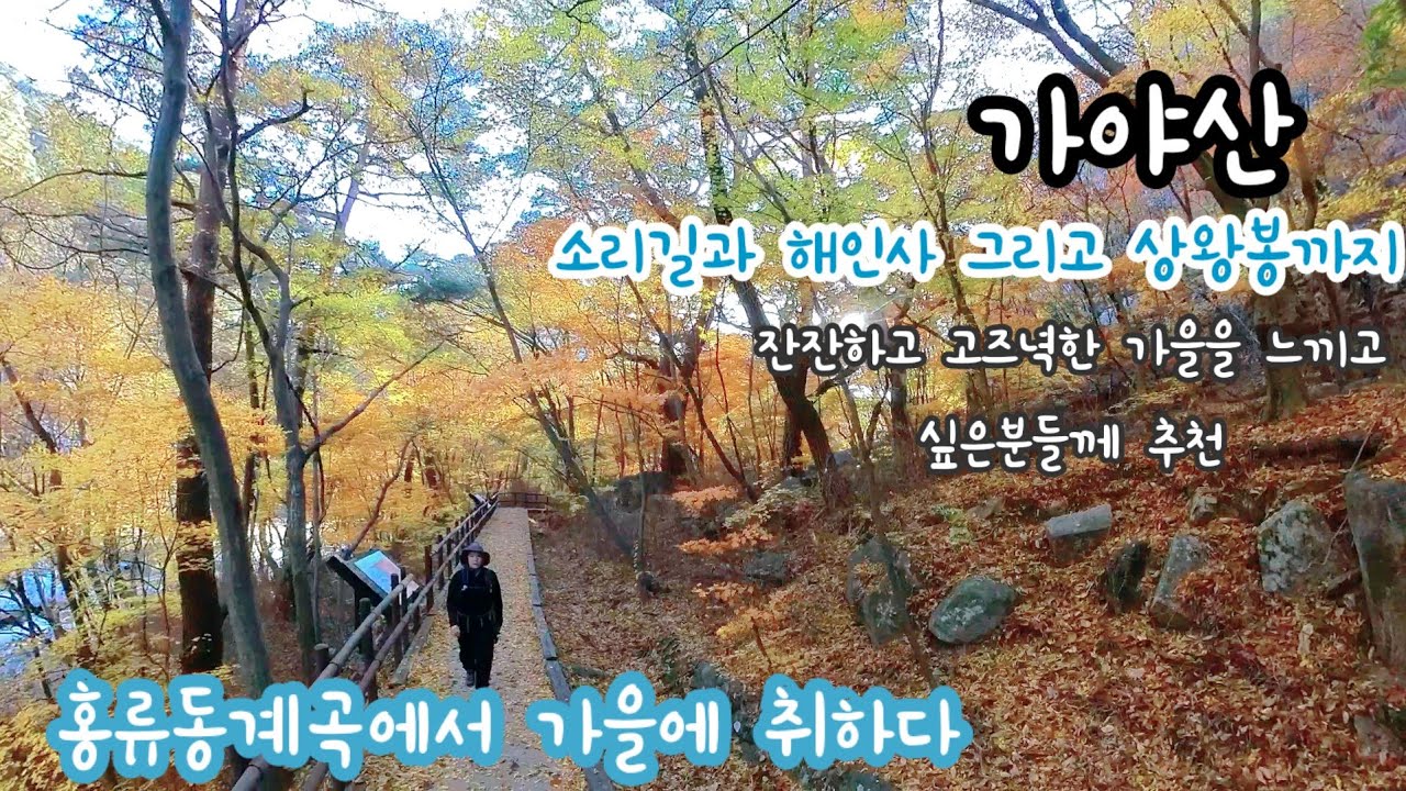 걷기좋은 소리길 홍류동계곡에서 가을을 만끽하고 왔어요 고즈녁한가을을 느끼고싶은분들께 추천/가야산/해인사/소리길/상왕봉/100대명산/