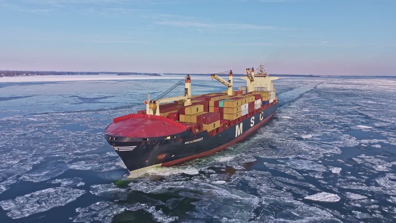 msc 3 fev 2026