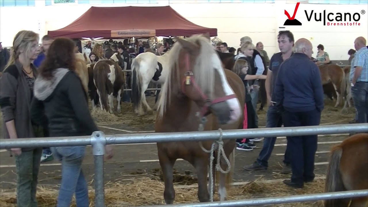 Vulcano Brennstoffe Bilder - Pferdemarkt Prüm 2014