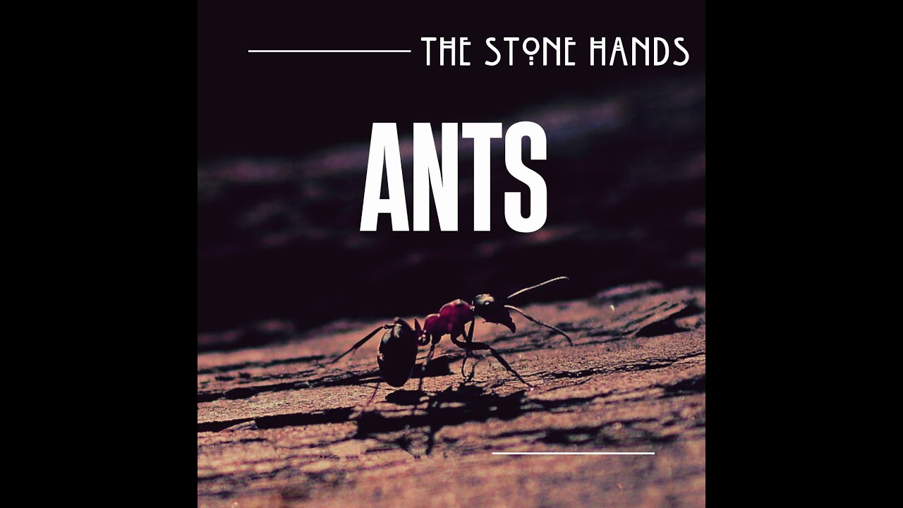 The Stone Hands - Ants (Official Video)