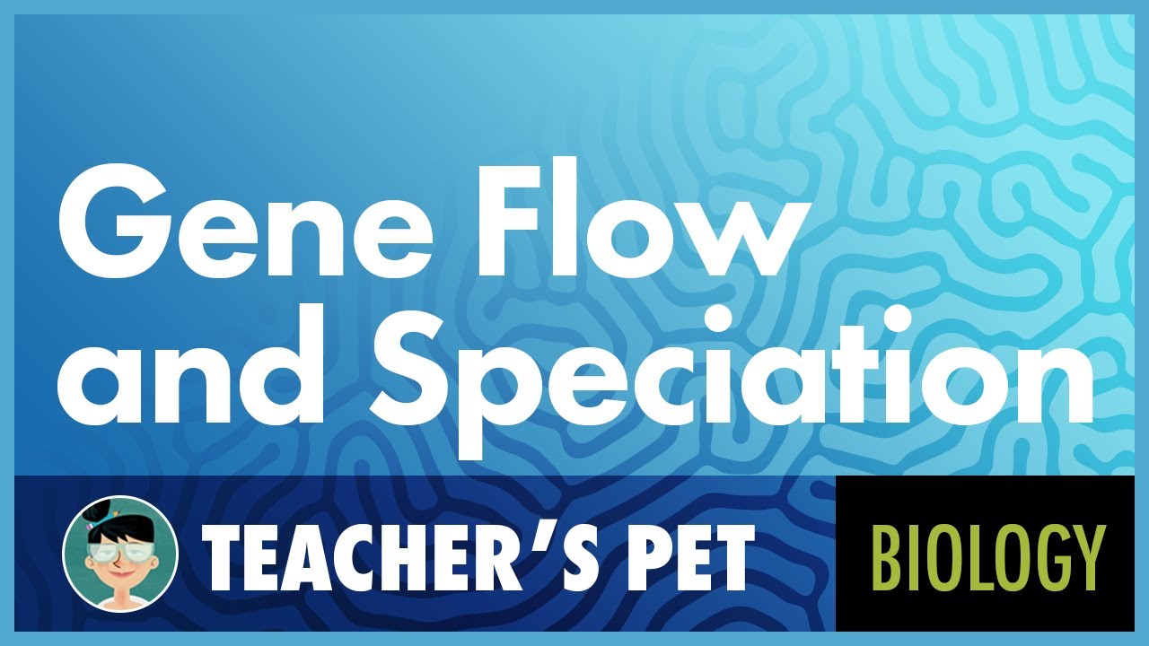 Gene Flow and Speciation