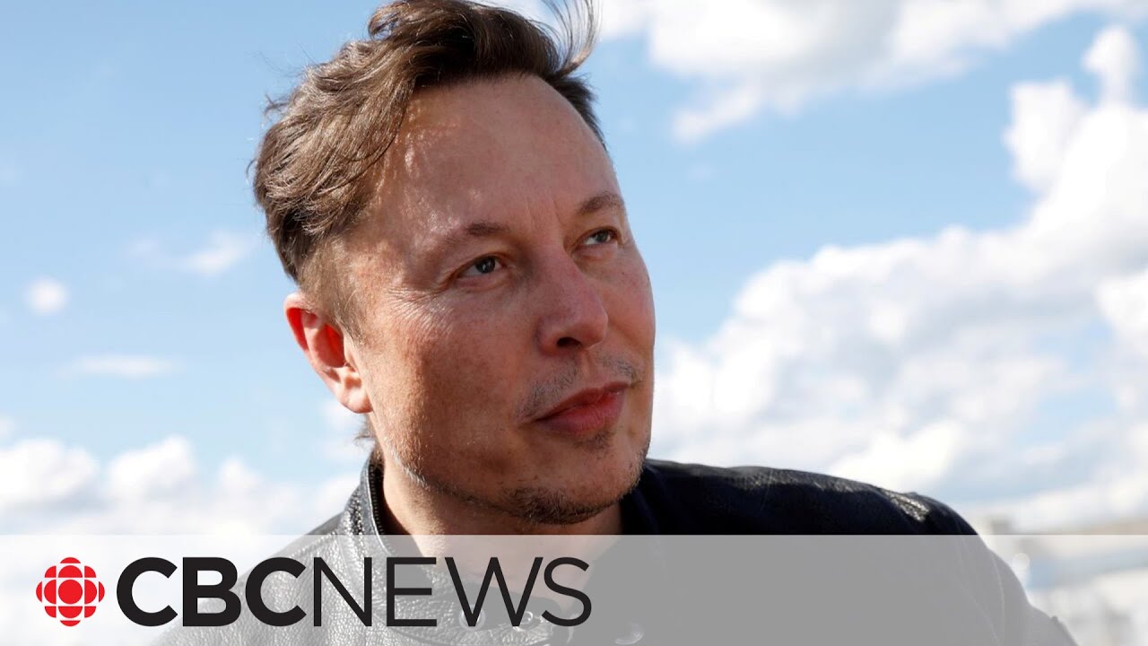 Elon Musk says $44B Twitter deal 'temporarily on hold'