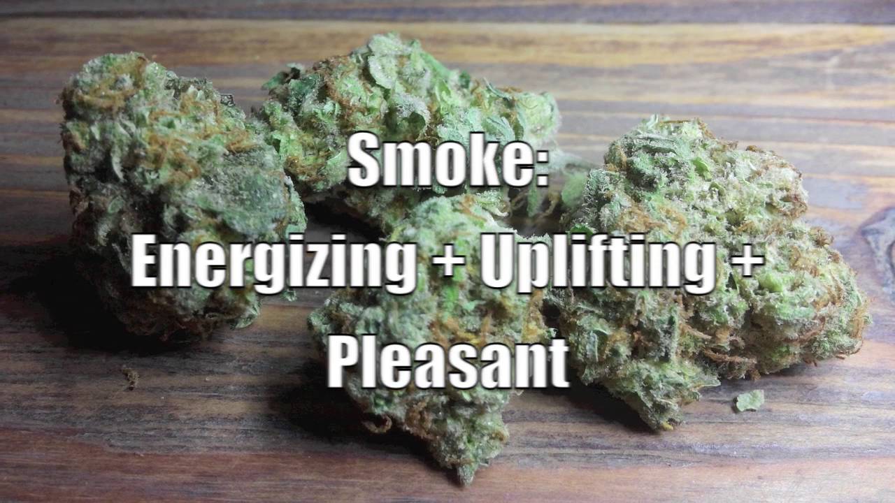Sour Jack Review * Weed * Cannabis * Sativa * Strain