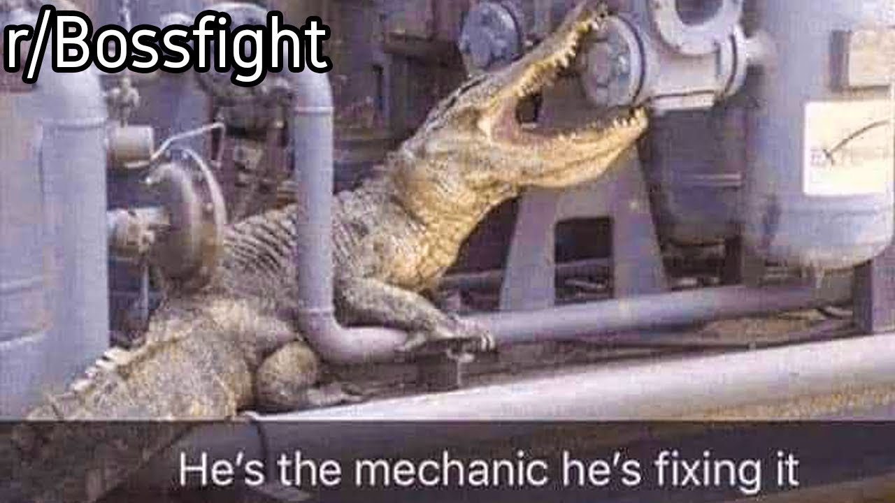r/Bossfight | Mechanic Alligator...