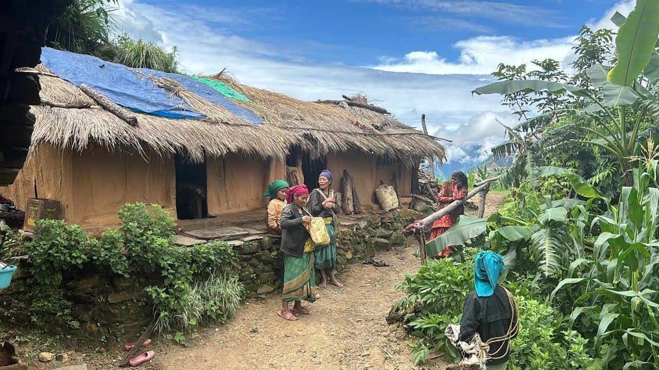 Naturally village traditional life Style Nepal | Mountain Daily Village lifestyle || Kushejajarkot🇳🇵