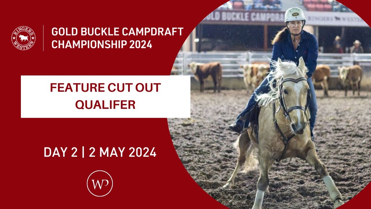 FEATURE CUT OUT QUALIFIER | Ringers Western Gold Buckle Campdraft Championship 2024