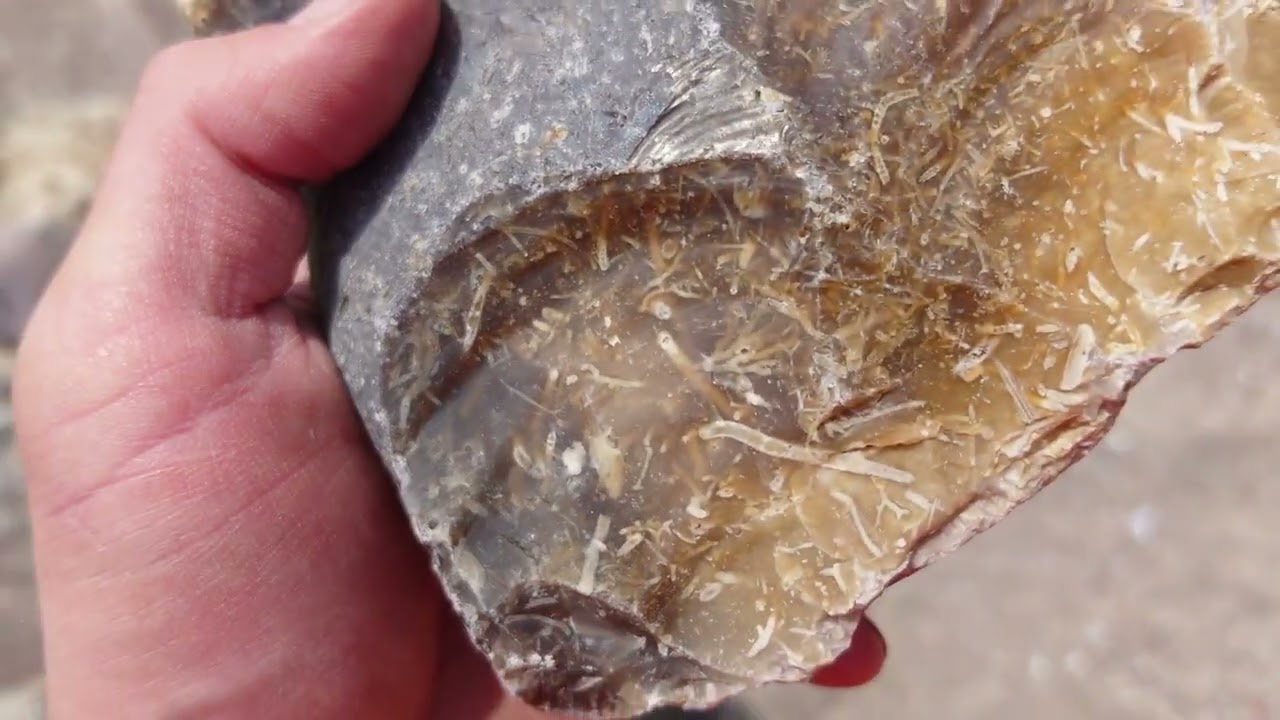 Auf der Suche nach geologischen Schätzen auf Fehmarn
