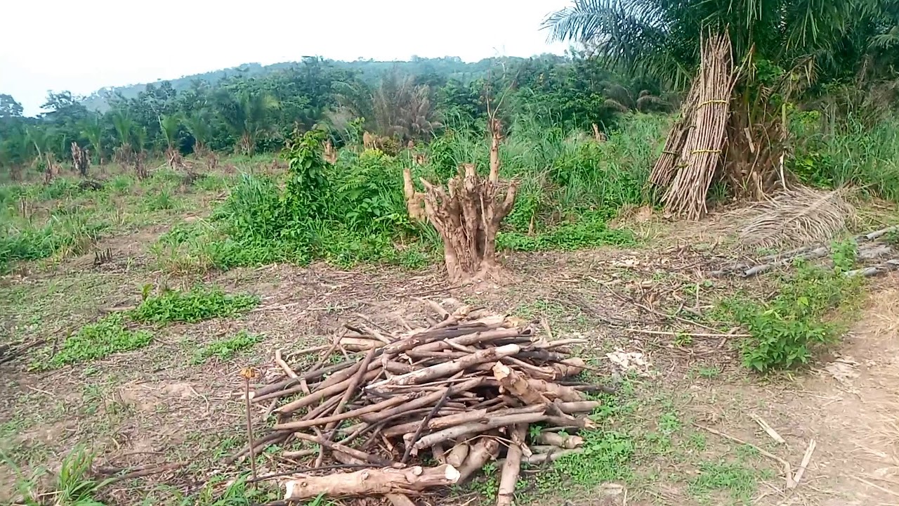 Farm land for sale in Ghana