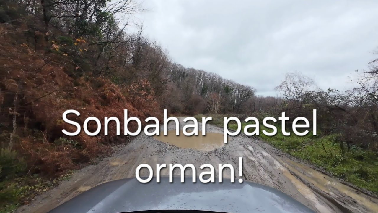 Vitara Günlükleri - Bölüm: Sonbahar pastel orman! #suzuki #vitara #offroad @VitaraGünlükleri