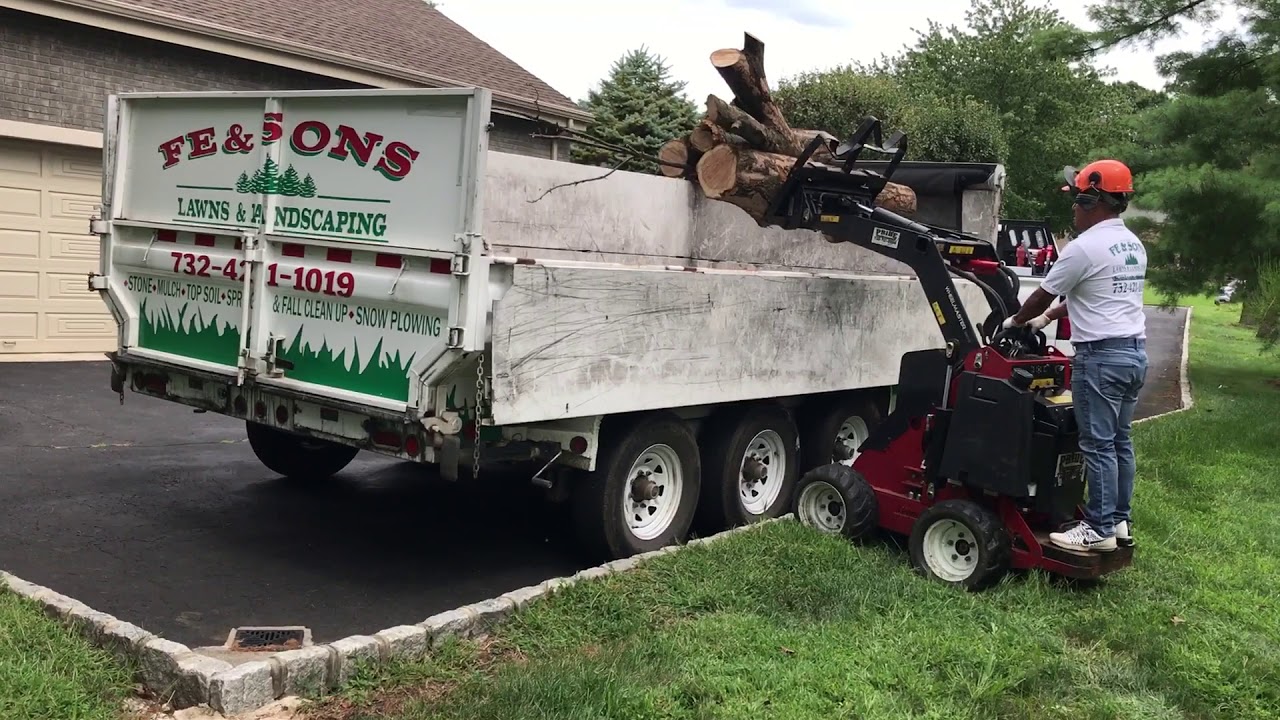 loading dump trailer with my Toro Dingo 320 Diesel tree removal