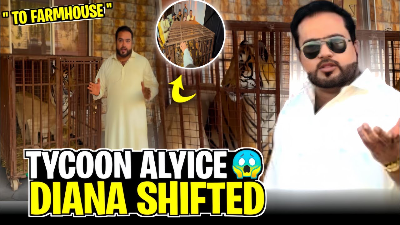 Tycoon Aylice diana ko farmhouse pr shift kar dia 😍all happy 😘