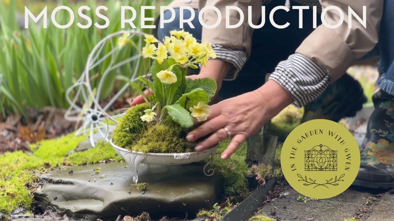 Tea Party in a Secret Moss Garden | Tulip Farm E20