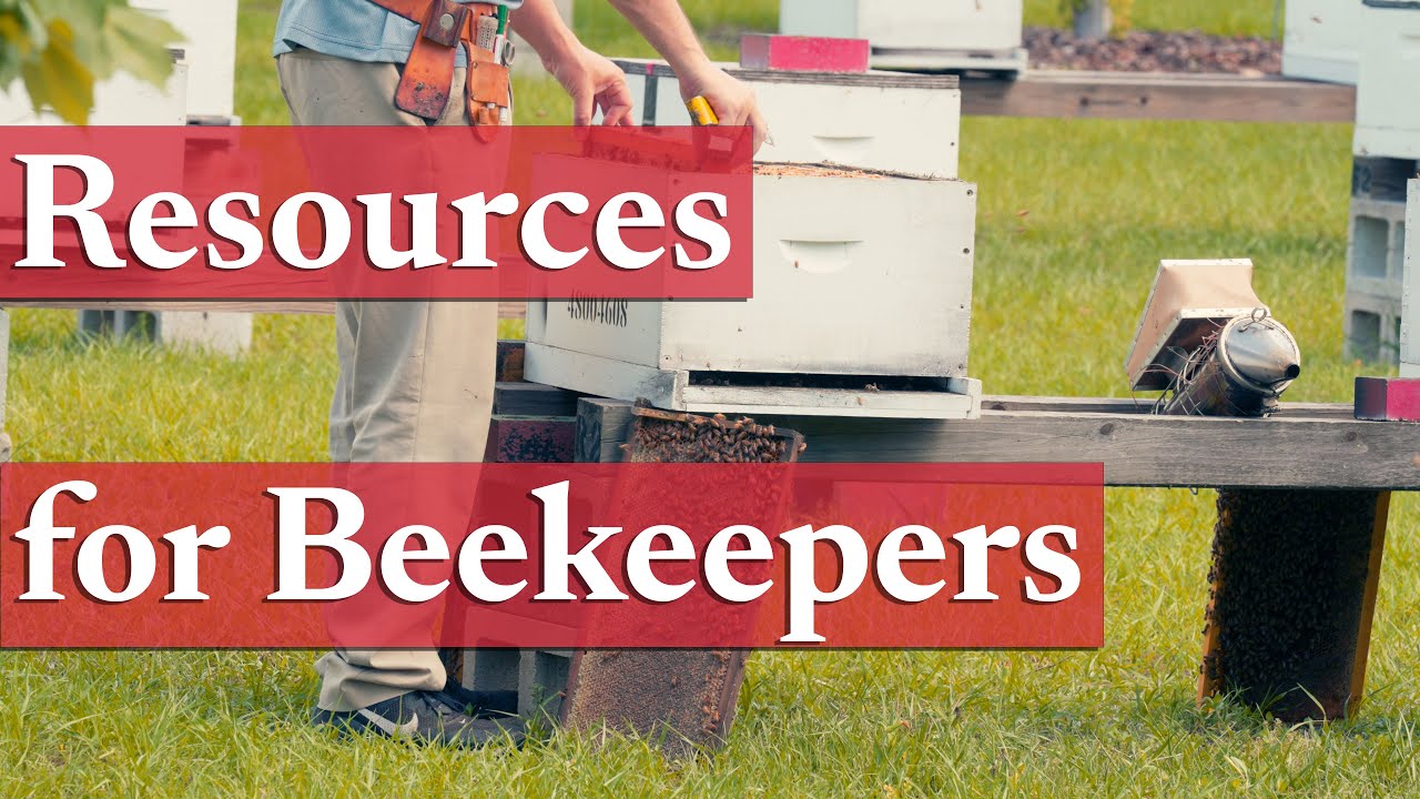 Educational Resources for Beekeepers | Beekeeping Academy | Ep. 13