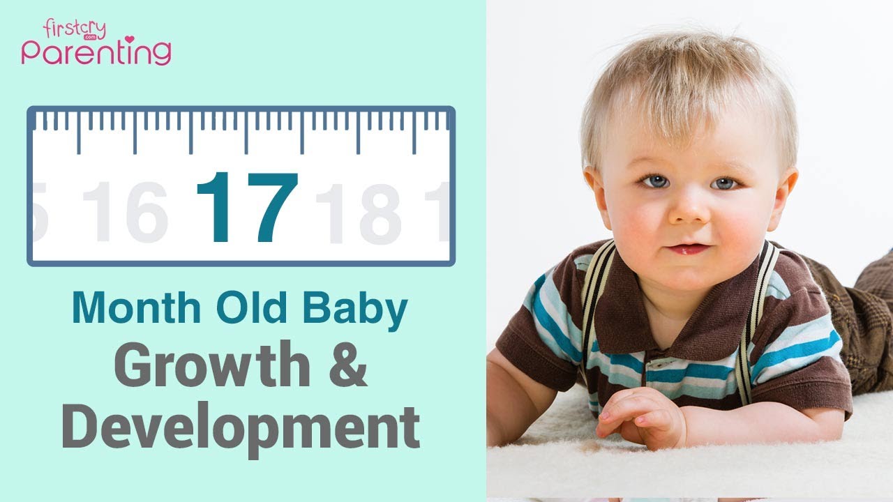 Your 17 Month Old Baby's Growth and Development