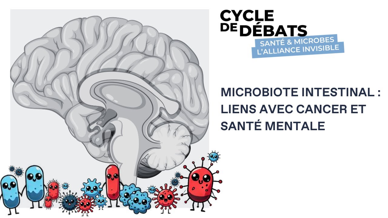 Microbiote intestinal : liens avec cancer et santé mentale 3/5