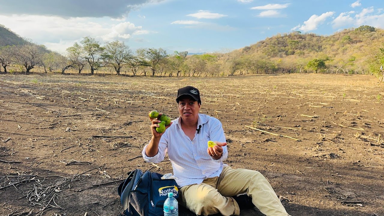 Después De Explorar Por Todas Las Mesas Llegue Al Terreno Con Ambre