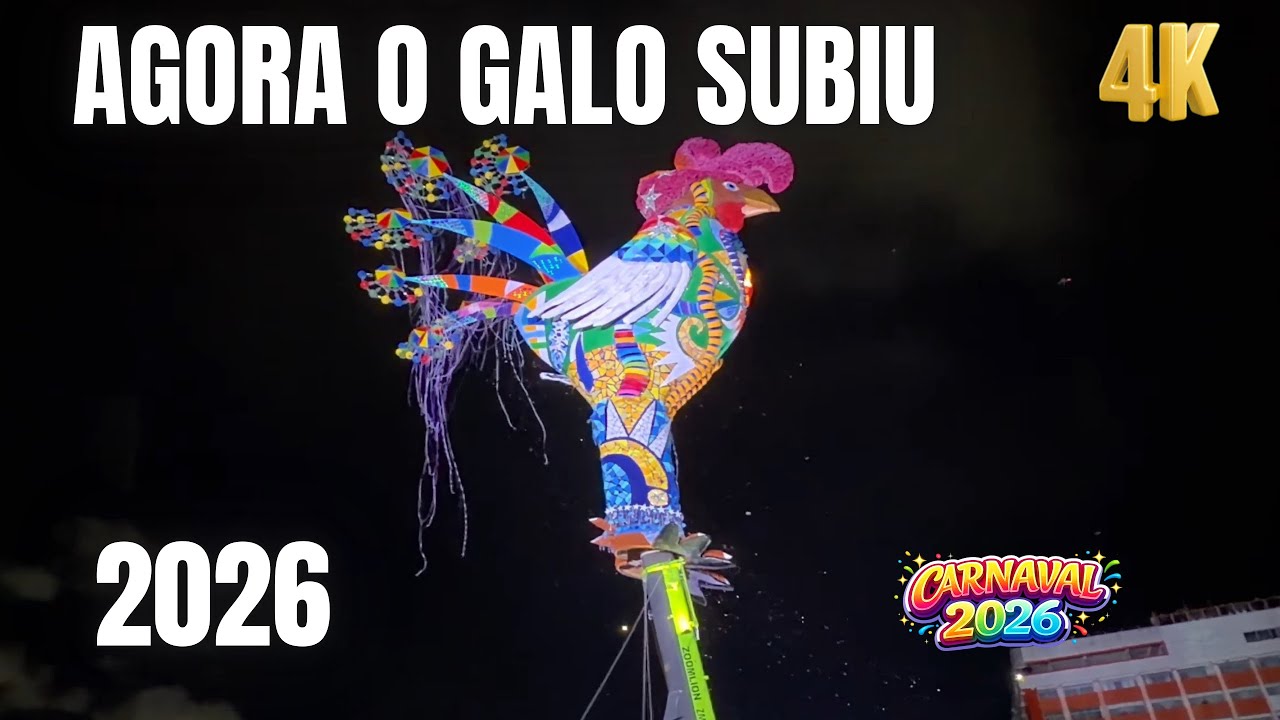 Galo da madrugada 2026 sendo ERGUIDO ￼ Recife PE ￼