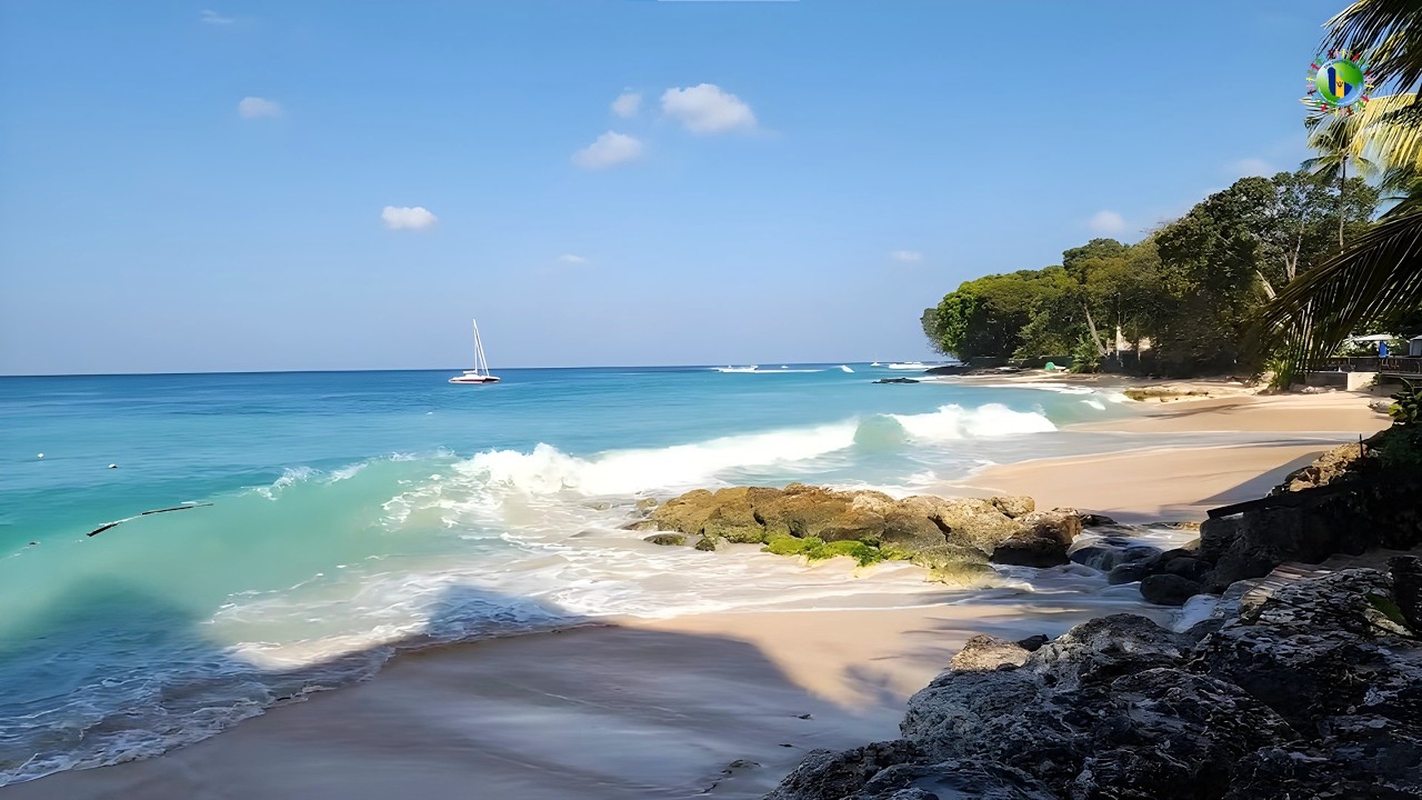 February 10, 2026 - The Beauty & Power of North Swells at Holetown Beach (Barbados Live)