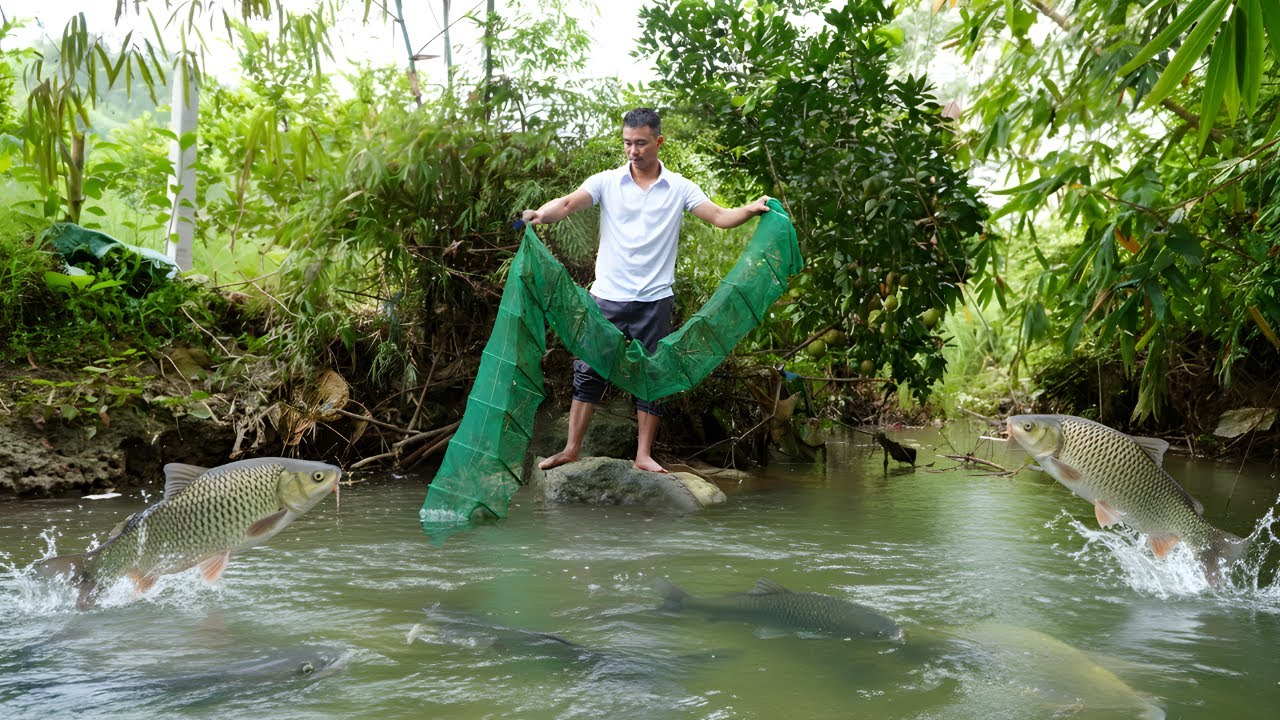 Leaving the city for the forest: Young CEO renovates old house, raises fish and finds freedom.