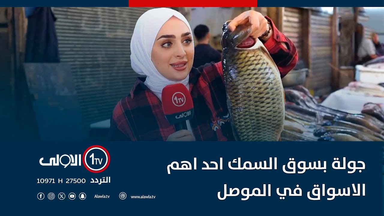 جولة بسوق السمك احد اهم الاسواق في مدينة الموصل