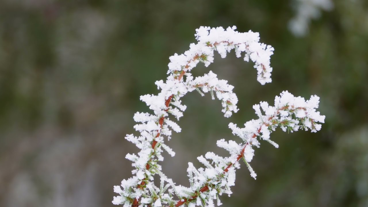 Winterwanderung bei 0&deg;, Schnee und Nebel