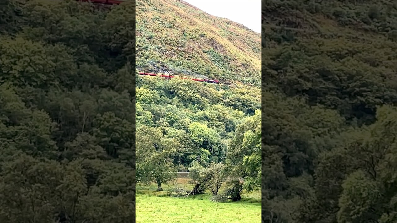 Vale of Rheidol 🚂 train - Rheidol Valley 🏴󠁧󠁢󠁷󠁬󠁳󠁿