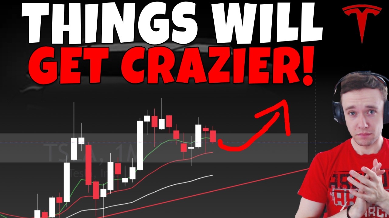 Stock Technical Analysis on TSLA, SPCX, PLTR, HOOD, MU, NBIS, DELL