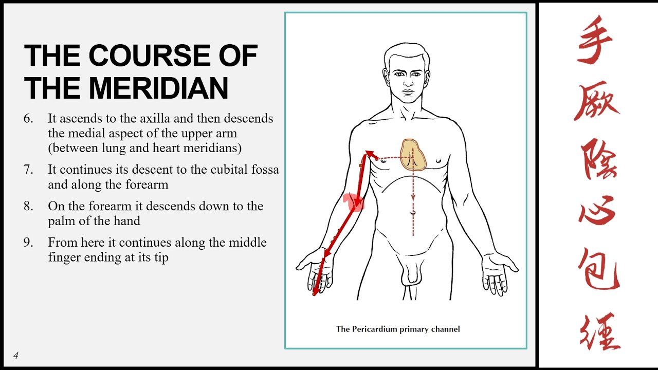 UJ online lectures:12 The Pericardium Meridian of the Hand Jueyin