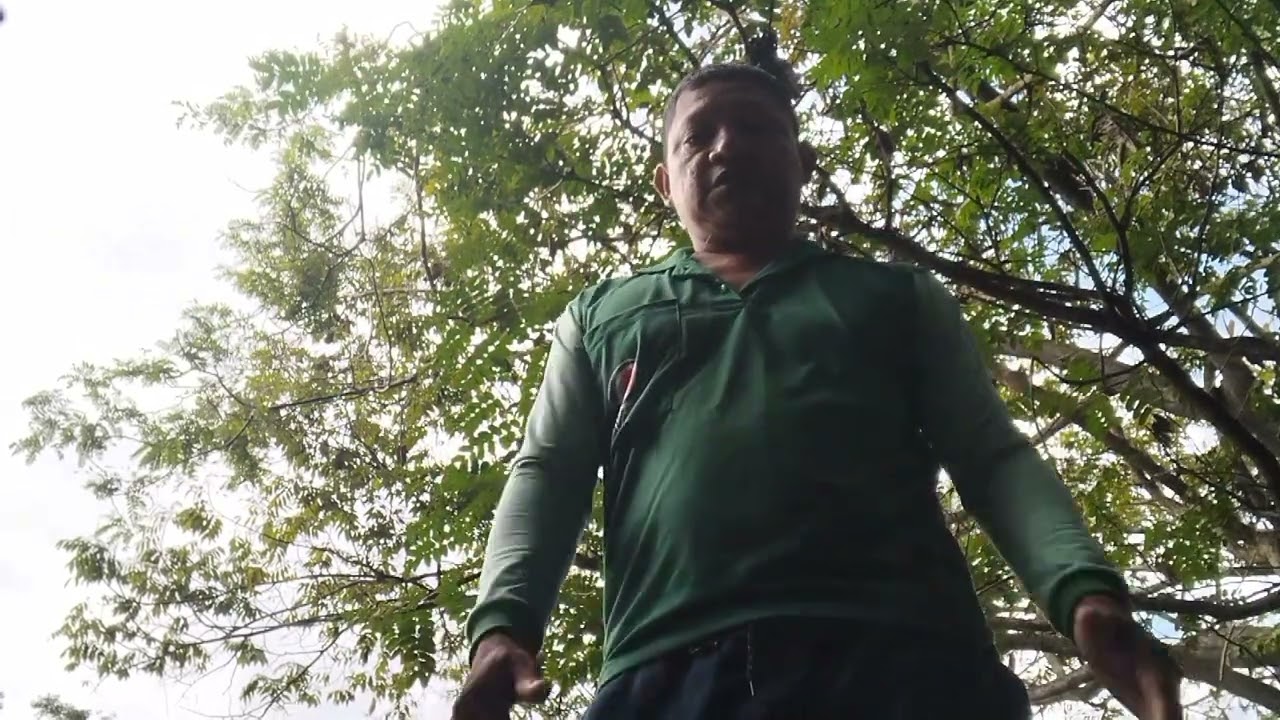 Vem, ver tudo o que acontece  nas aventuras  pelas estradas  de maues,  na entomologia 