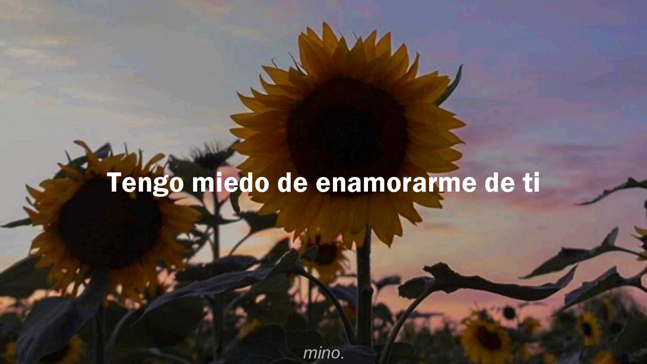 Emotional // Harlem Yu [Meteor Garden OST] sub. español