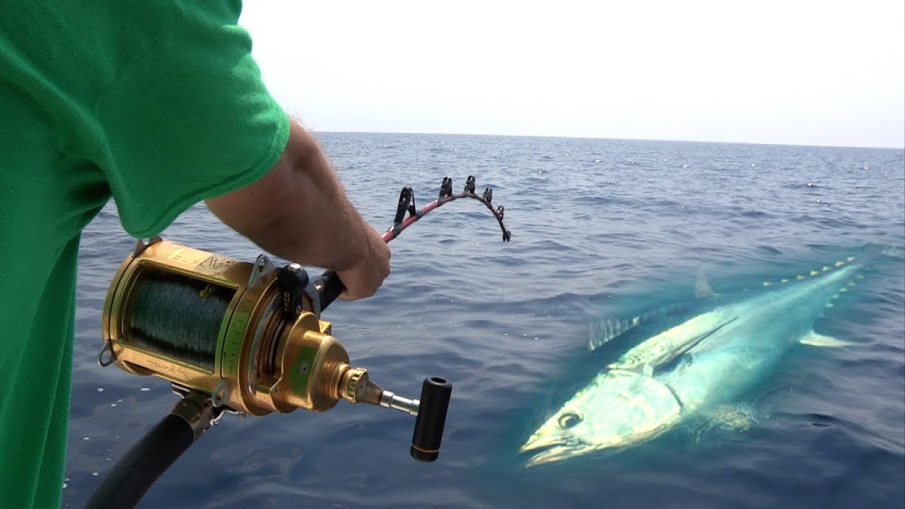 Fishing tuna in Croatia | Pecanje tune u Hrvatskoj - Dubrovnik
