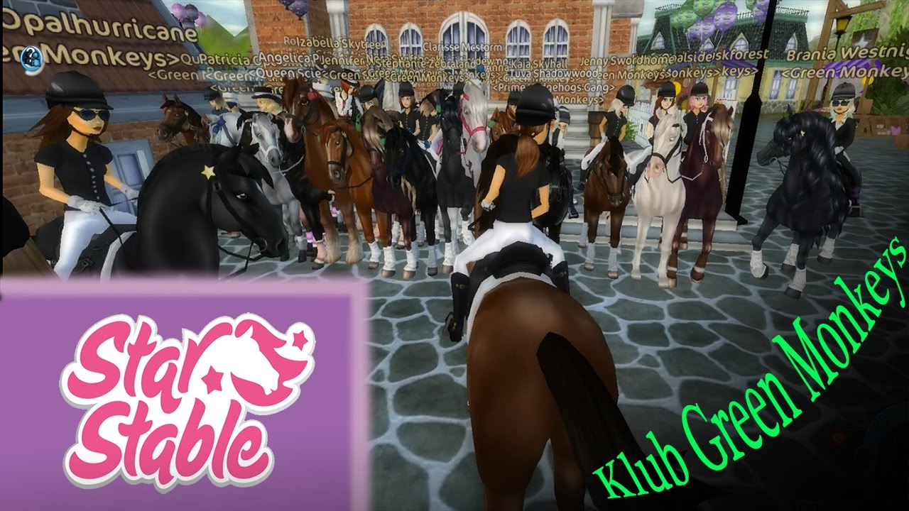 SSOwe spotkanie - Klub Green Monkeys