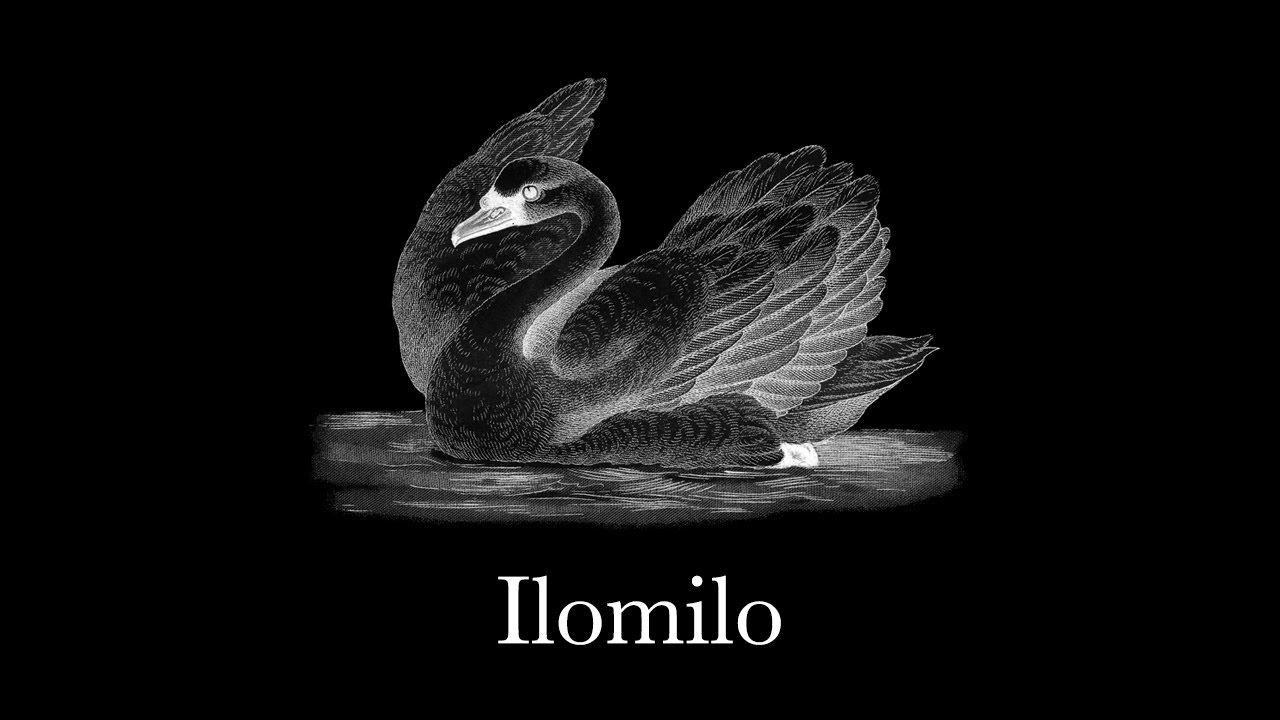 ilomilo – Billie Eilish Harp Instrumental Cover